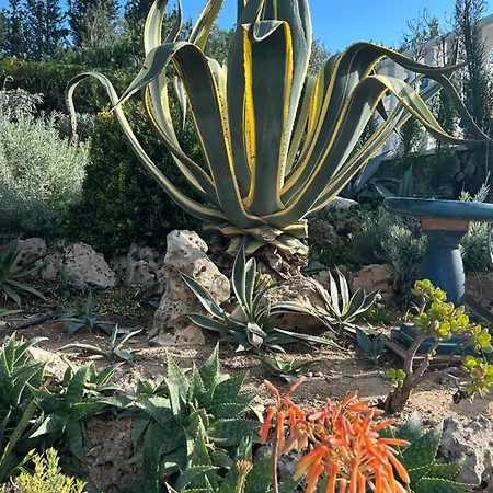 Bed and breakfast Malata